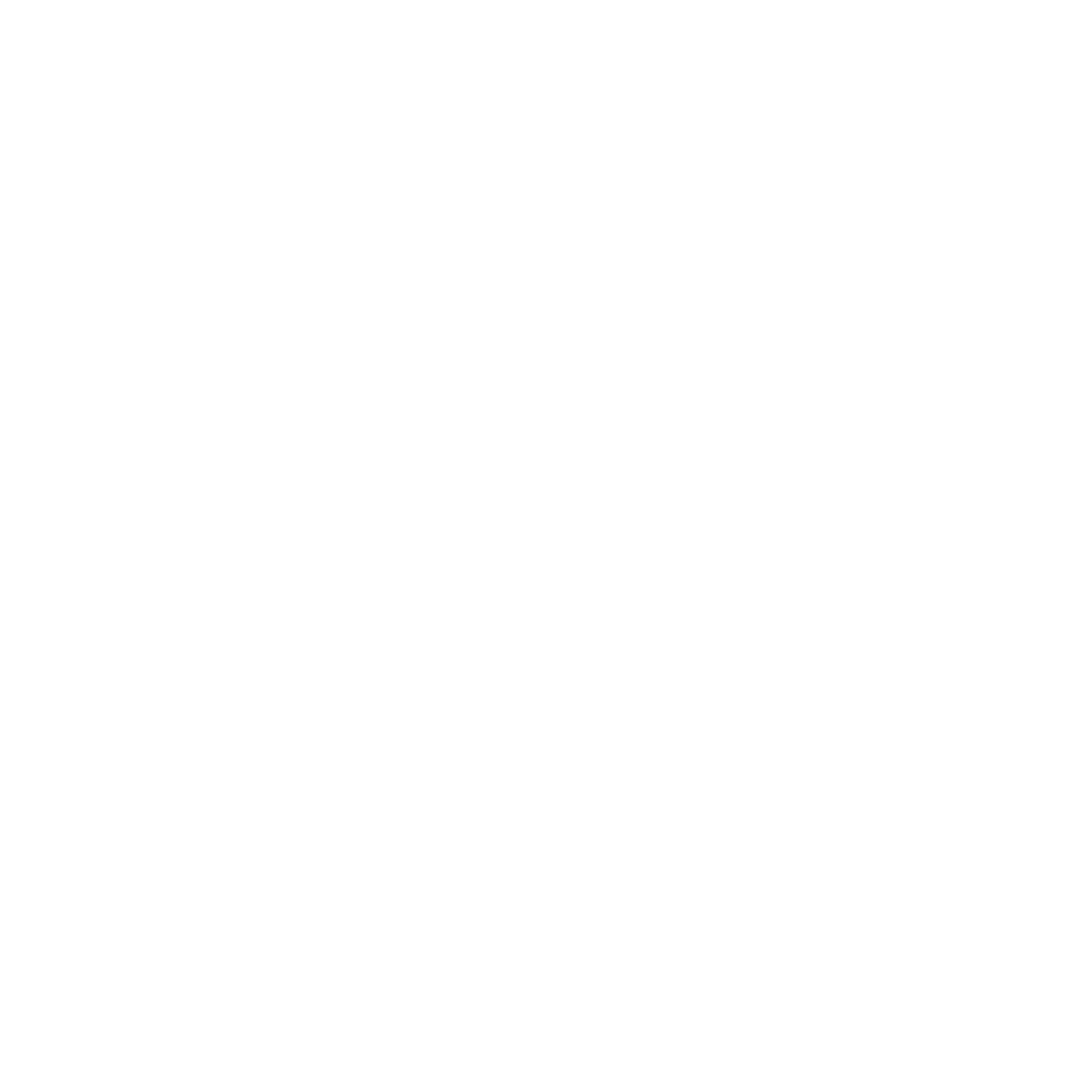 Prompt Partners